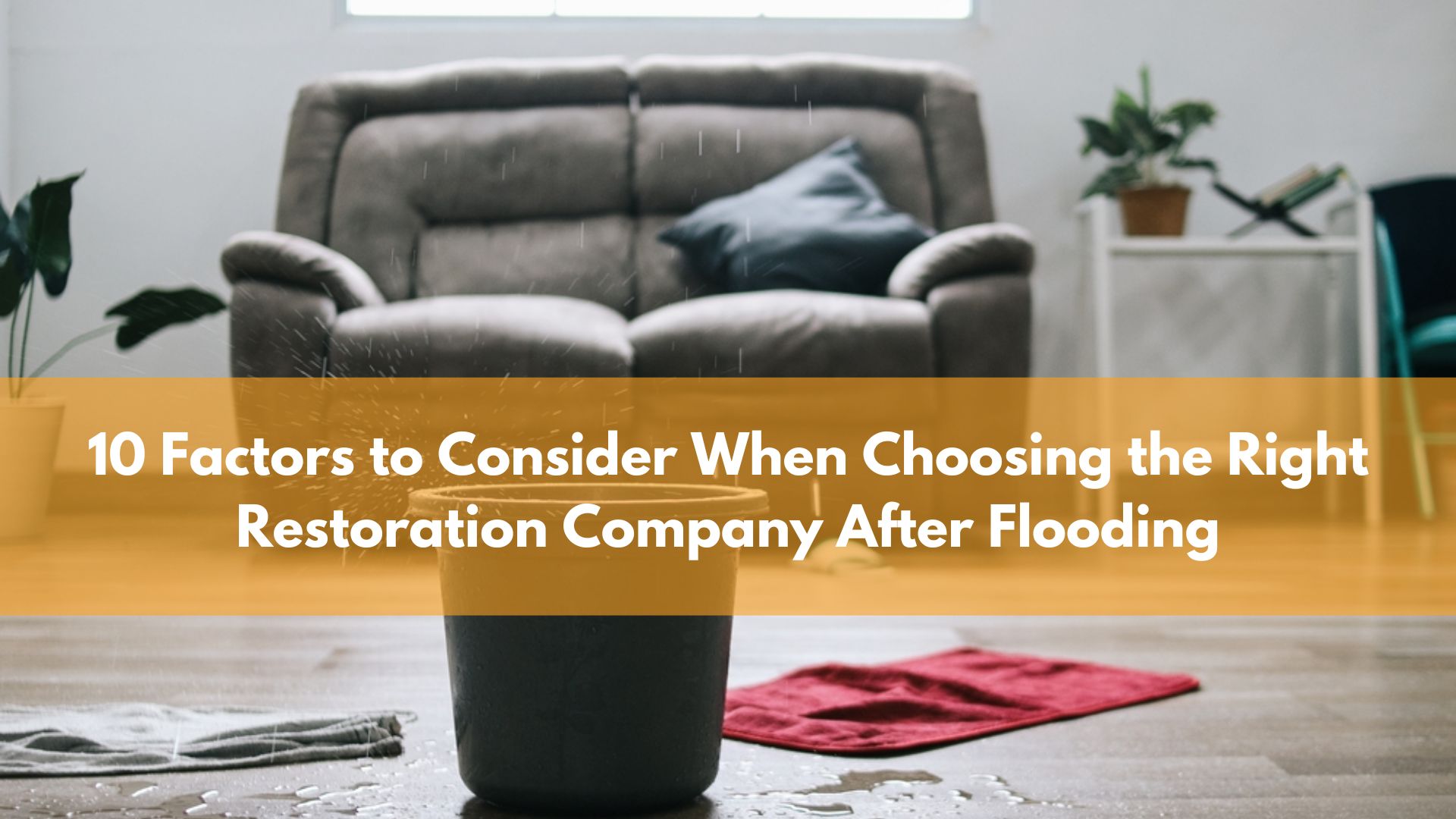 10 Factors to Consider When Choosing the Right Restoration Company After Flooding