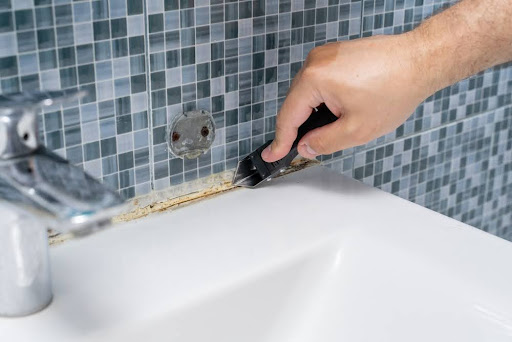 6 Signs You Have Mold in Your Bathroom and How to Handle It