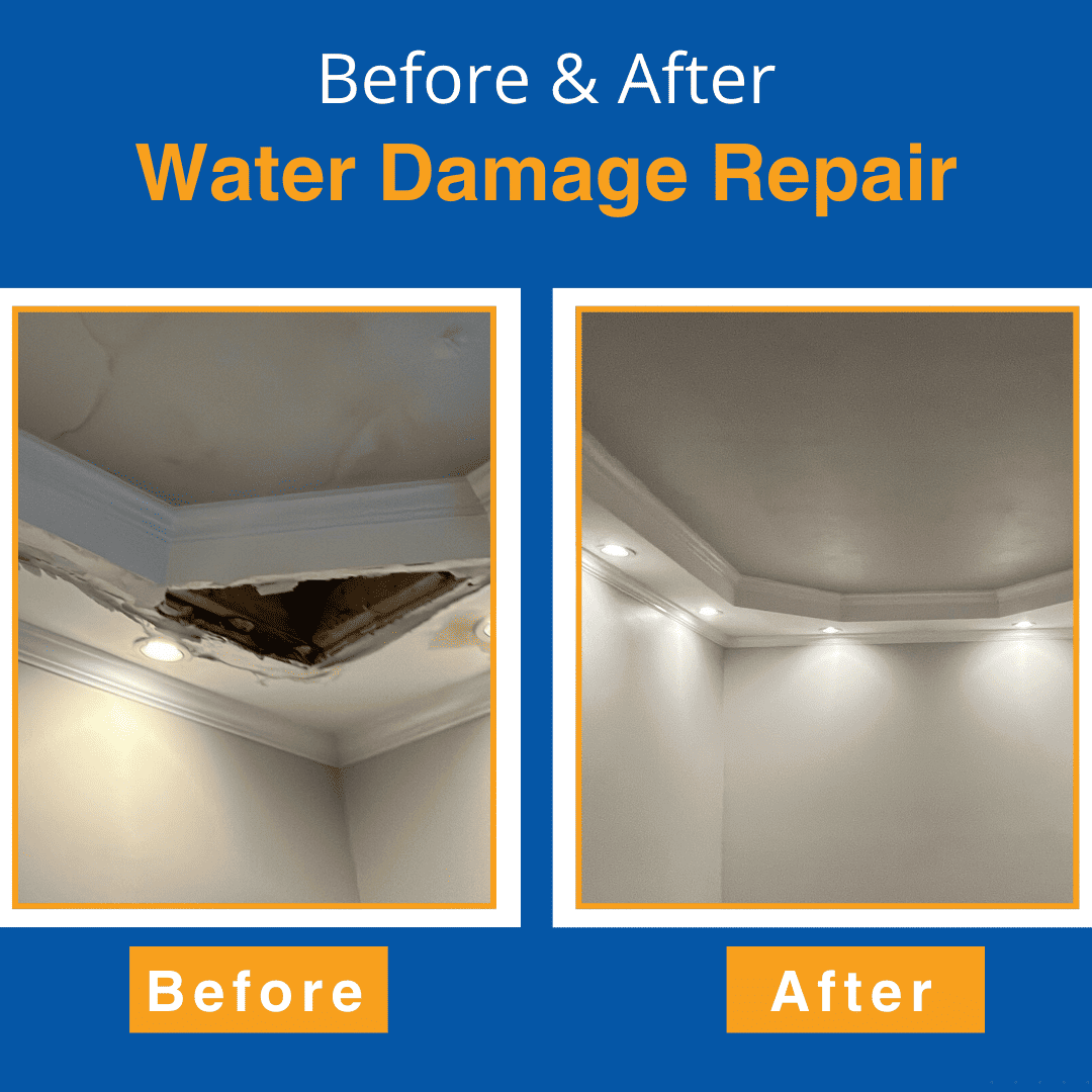 Case Study 2: Water Damage Assessment and Restoration