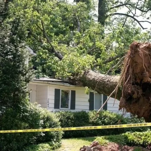 Storm & Wind Damage Repair Services in North Atlanta, GA